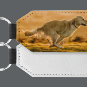 Keychains (Pack of 10)