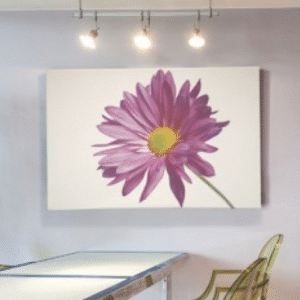 Stretched Canvas Prints